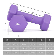 PURE Dumbbells Set with Storage Rack, 2 x 1kg, 2 x 2kg, 2 x 3kg, Pink