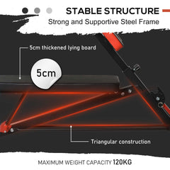 PURE Multifunction Weight Bench with 2 Dumbbells, 7-Level Adjustable Hyper Extension Sit-up Bench