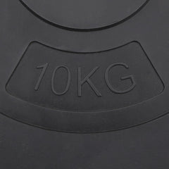 Weight Plates 4 pcs 30 kg Cement