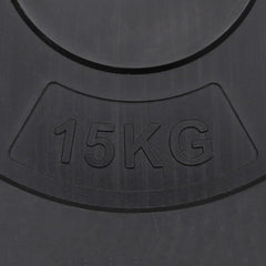 Weight Plates 2 pcs 30 kg Cement