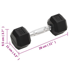 Dumbbells 2 pcs 10 kg Cast Iron