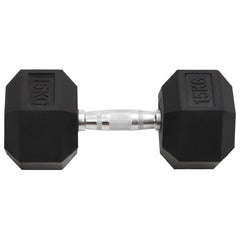 Dumbbells 2 pcs 30 kg Cast Iron