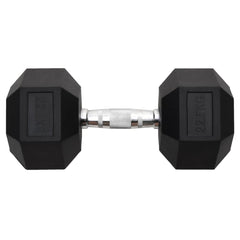 Dumbbell 22.5 kg Cast Iron