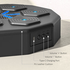 PURE Music Boxing Machine with Bluetooth Connection and LED Light Smart, Wall Mounted for Punching Beat Boxing Training