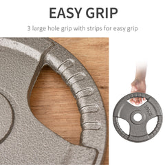 PURE Set of 2 Cast Iron Weight Plates for 2"/5cm Hole Dumbbell Handle Bar, Barbell Weight 2 x 10kg