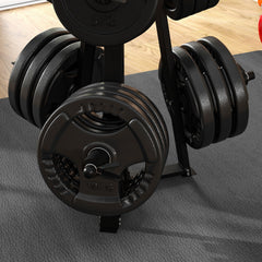 Weight Tree Weight Rack for 5cm Weight Plates and Barbell Bar with 6 Fasten Clamps, 300kg Capacity