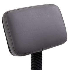 PURE Beautician's Swivel Salon Chair w/ Padded Seat Back 5 Wheels Adjustable Height Salon Hairdressers Tattoo Spa Rolling Cushion Professional 35cm Grey