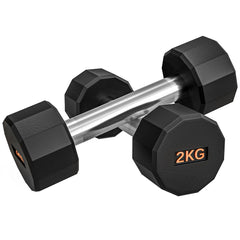 2 x 2kg Dumbbells Weights Set with 12-Sided Shape and Non-Slip Grip for Men Women Home Gym Workout